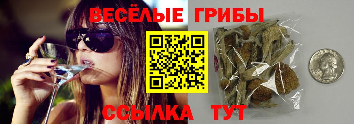 Переславль-Залесский  Галлюциногенные грибы Cubensis  Псилоцибиновые грибы Psilocybe  купить наркоту  Вход с VPN 